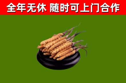 花山烟酒回收冬虫夏草.jpg